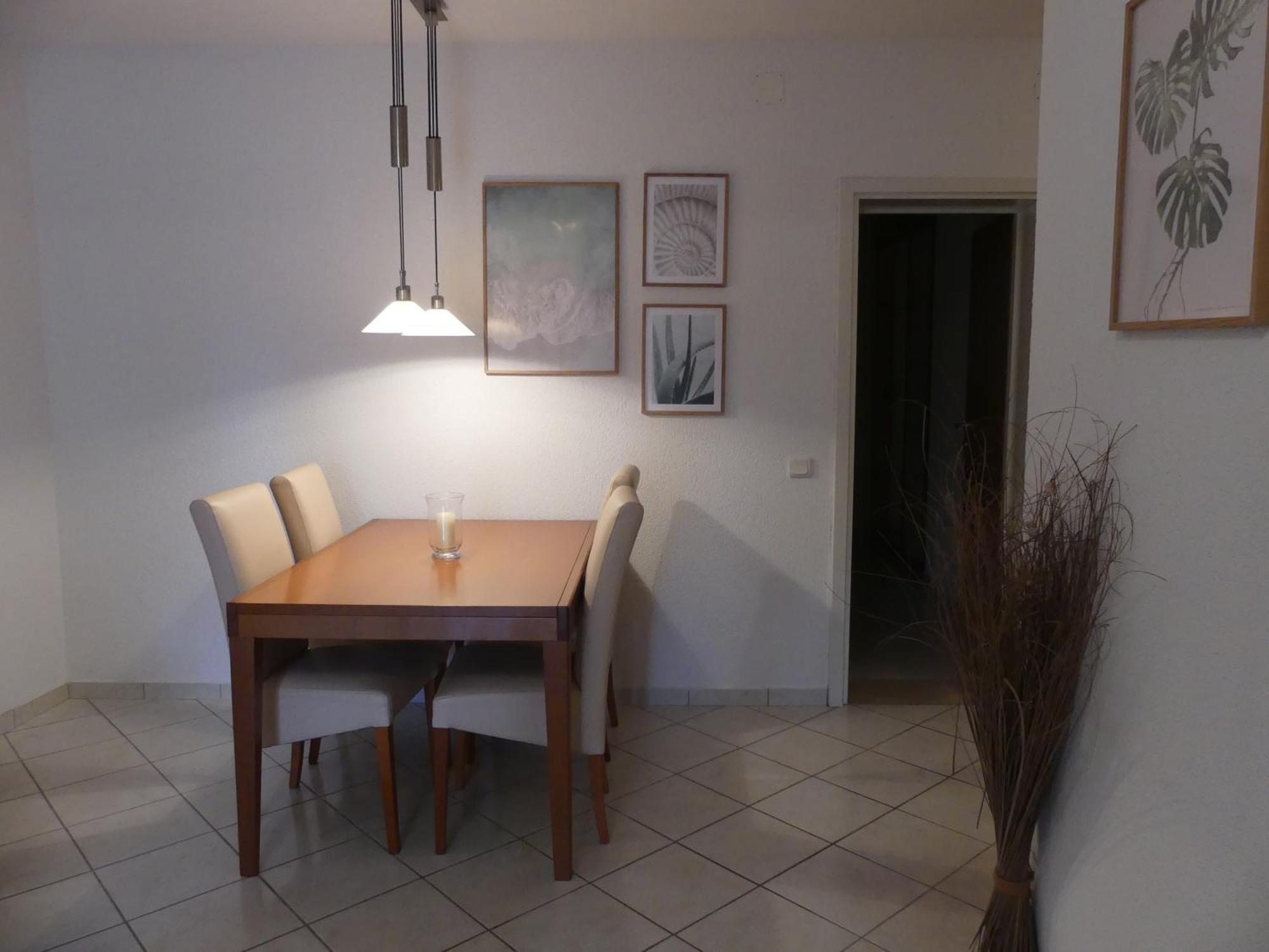 Apartman Skoric *