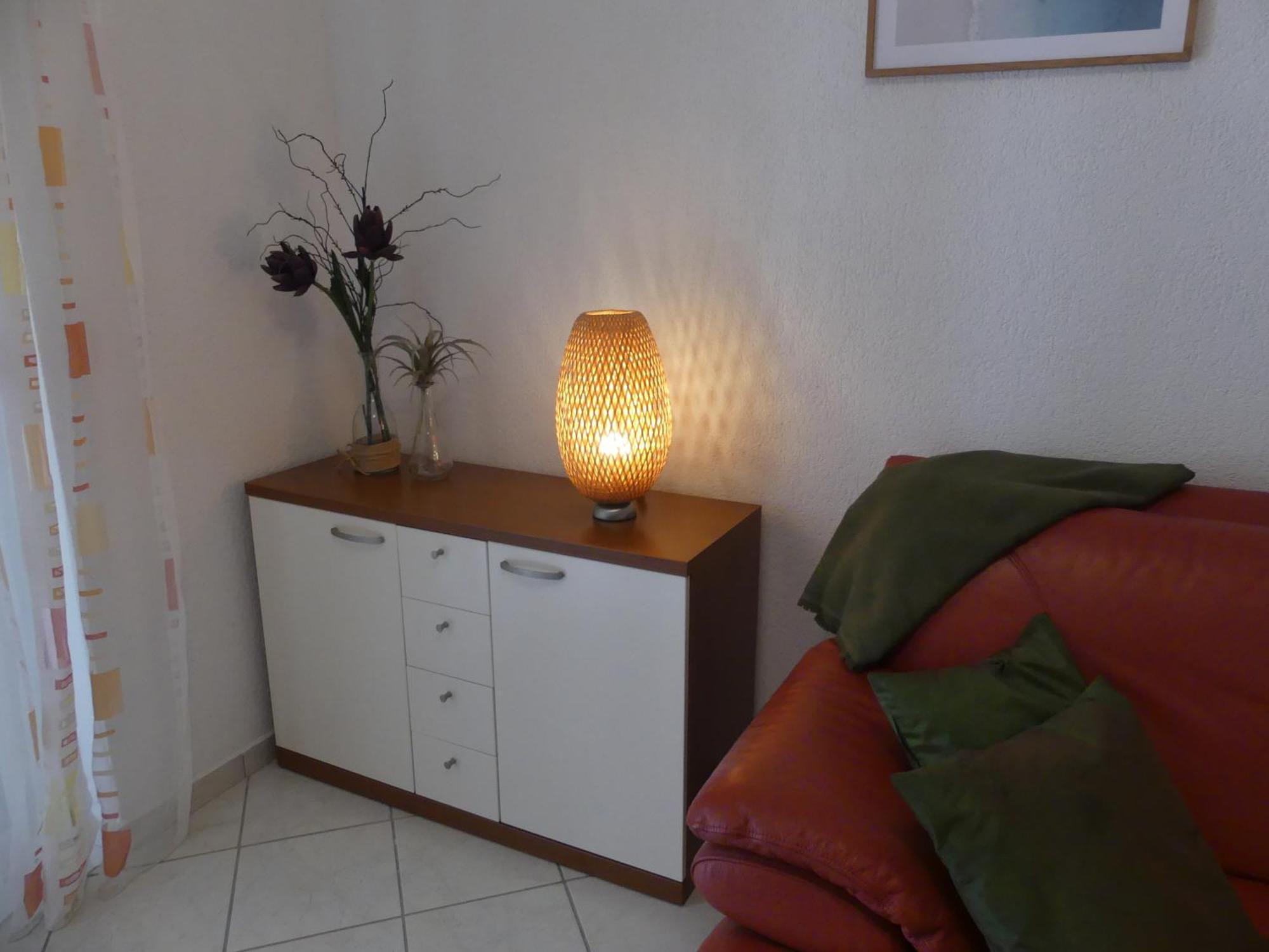 Apartman Skoric *
