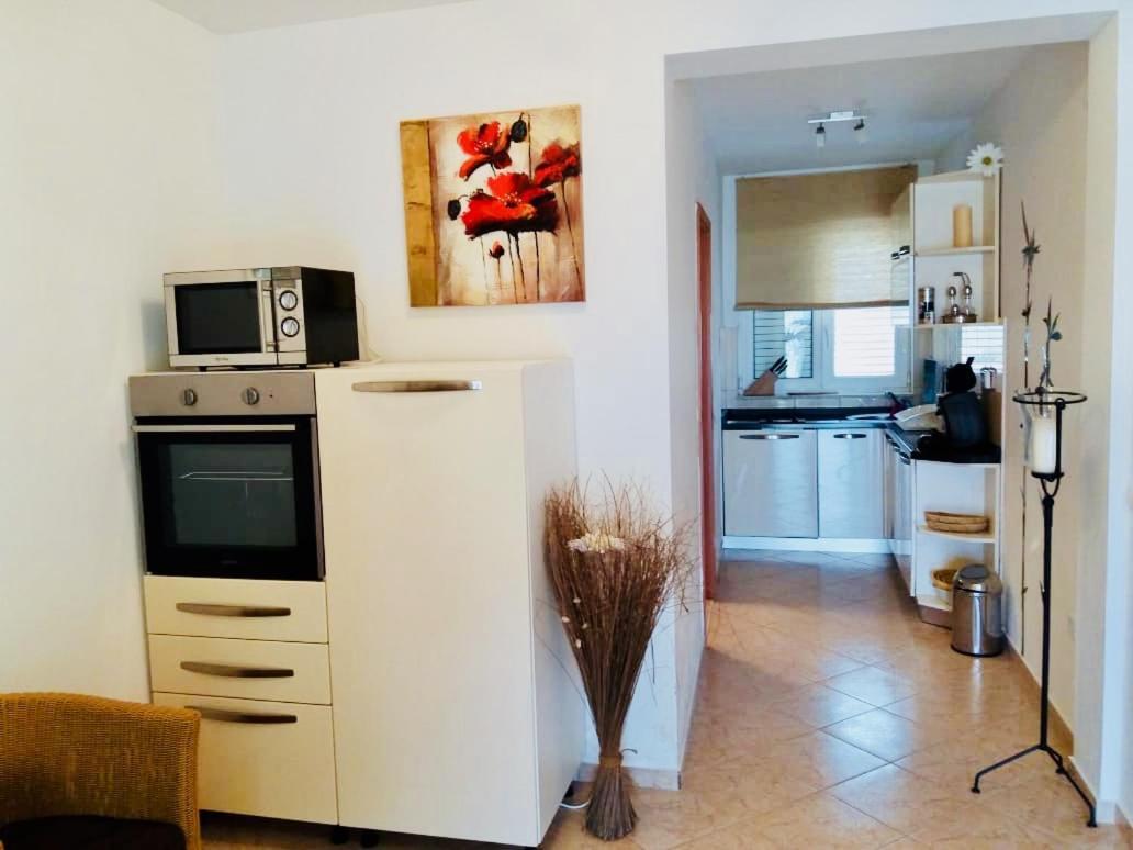 Apartman Skoric *